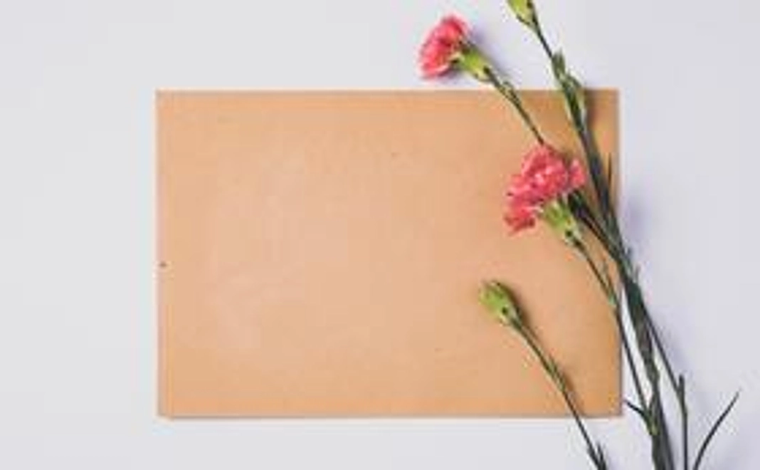 シンプル応援プラン3000