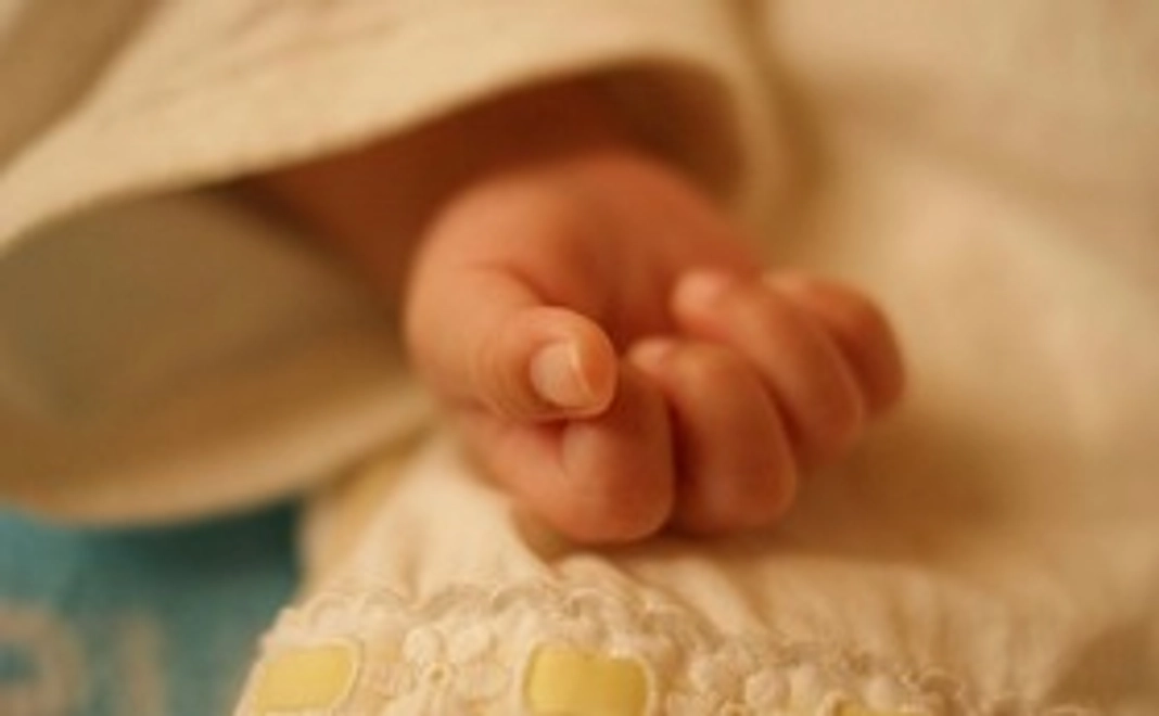 全力応援！5,000円 リターンなし［ 感謝のメールを送ります ］