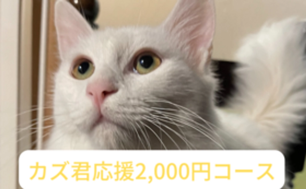カズ応援コース 2000円