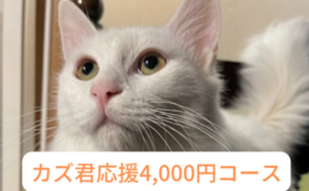 カズ応援コース 4000円