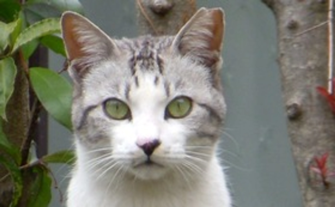 ３０００円支援コース