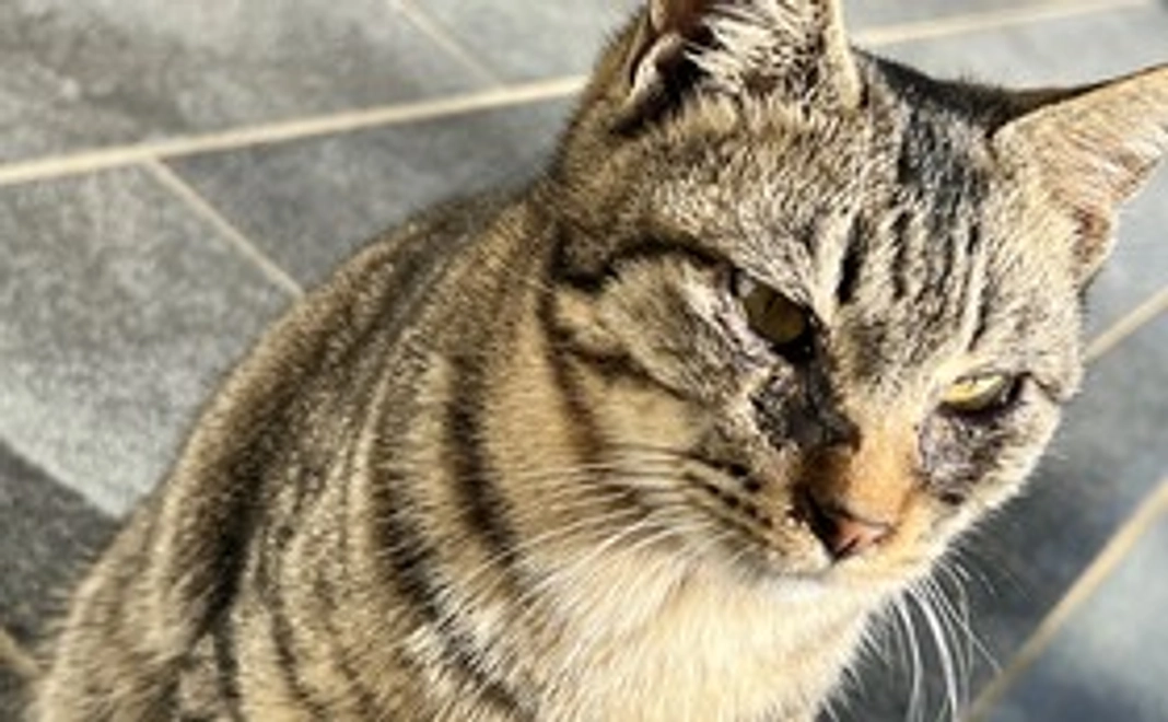 感謝のメール3000円