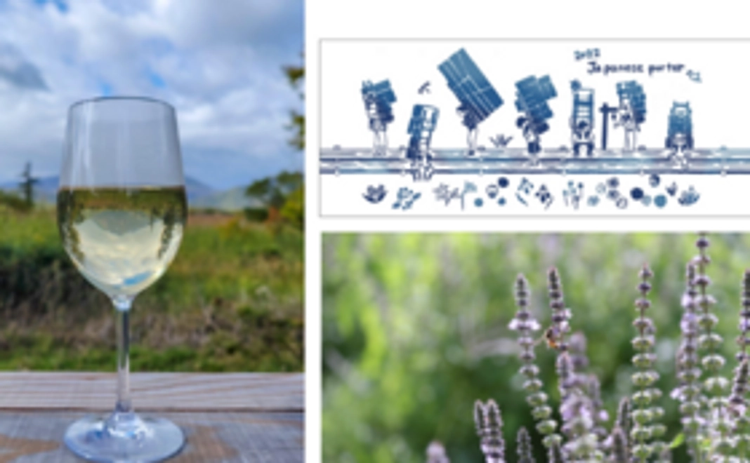 A｜スタンダードコース