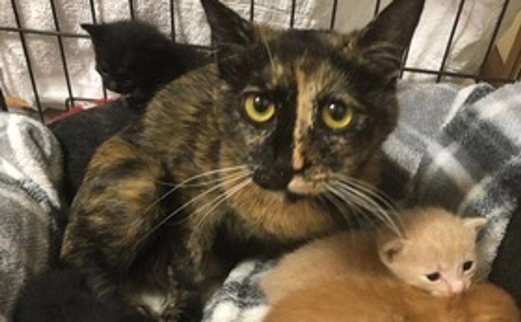 皆様の暖かいご支援に感謝申し上げます