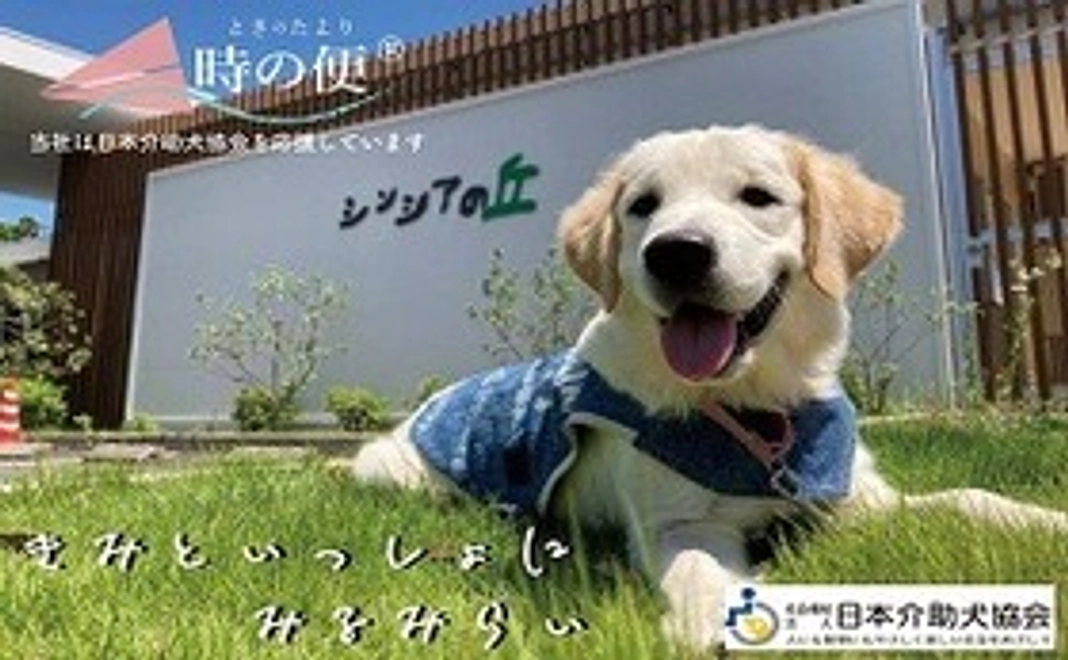 時の便（ときのたより）３年保管パックＢ