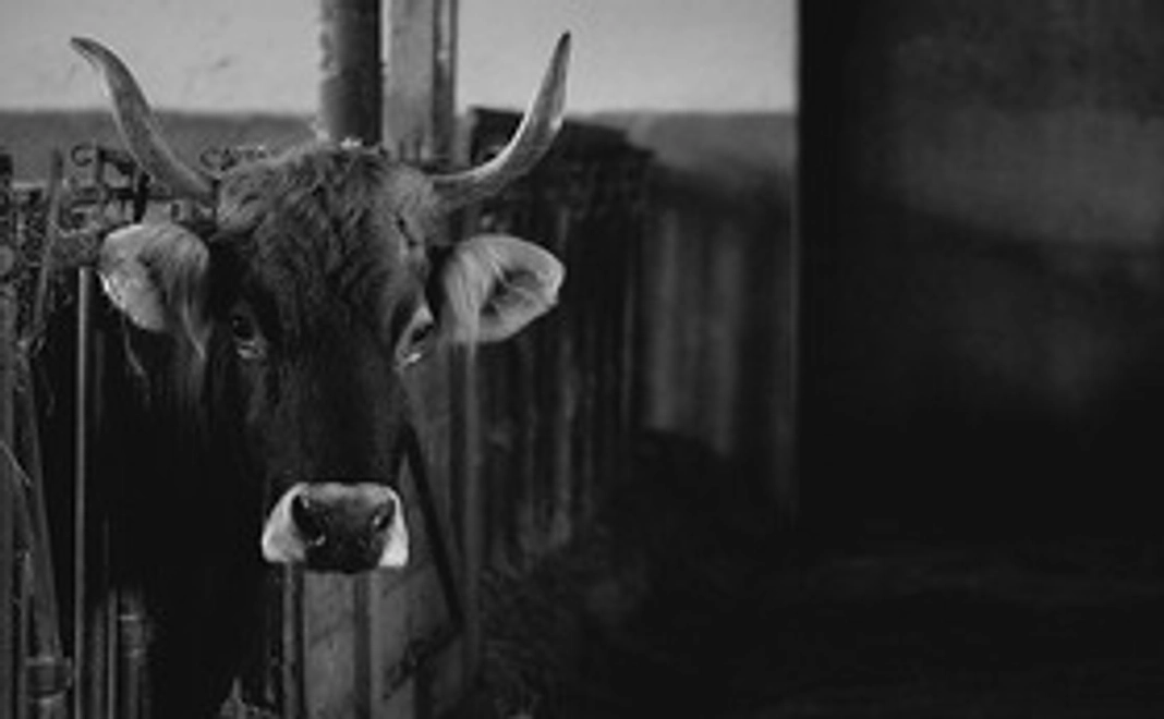 リターンにつきまして