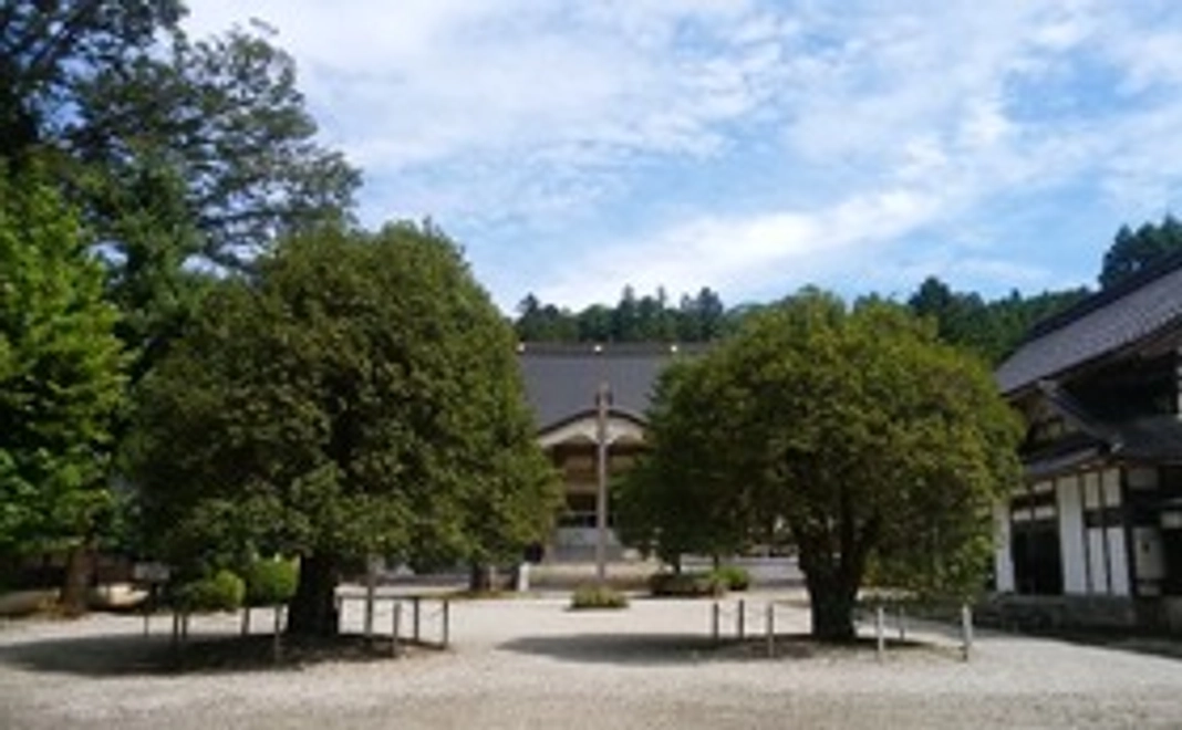 栂の木特製数珠