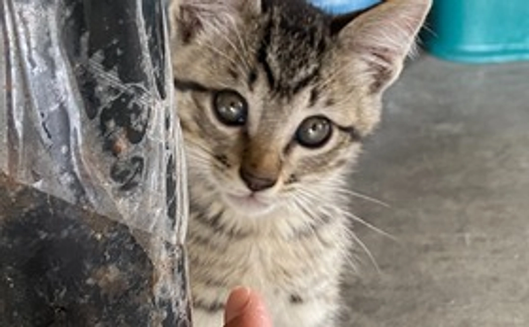 【リターン不要】応援コース|3千円