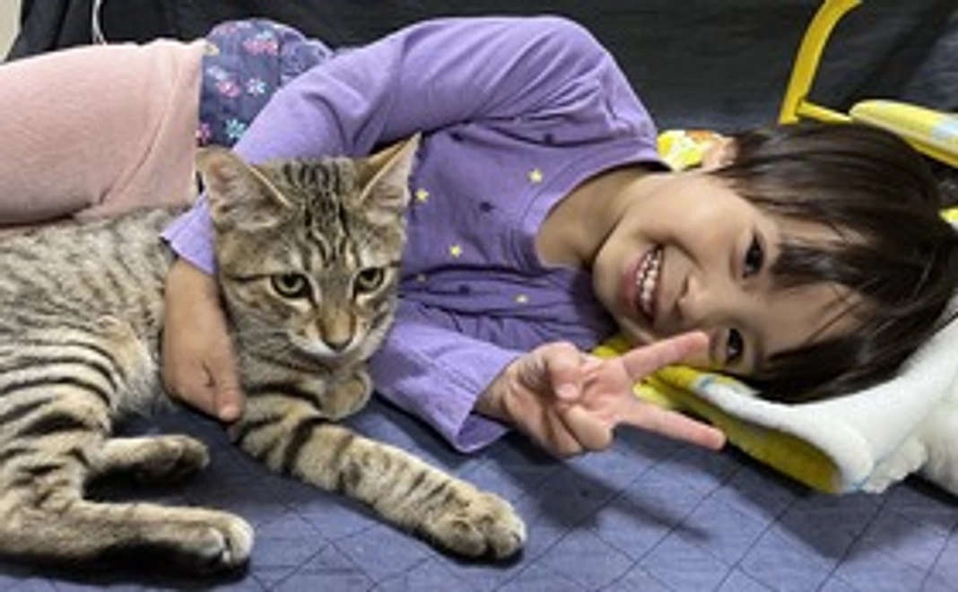 50,000円／月　【命の授業つき】団体様向けプラン