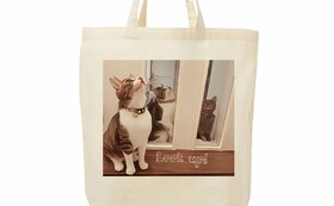 毎月4000円ご支援　シンデレラサポーター