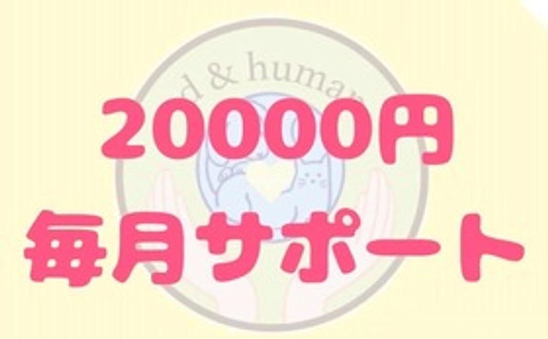 20,000円を毎月サポート