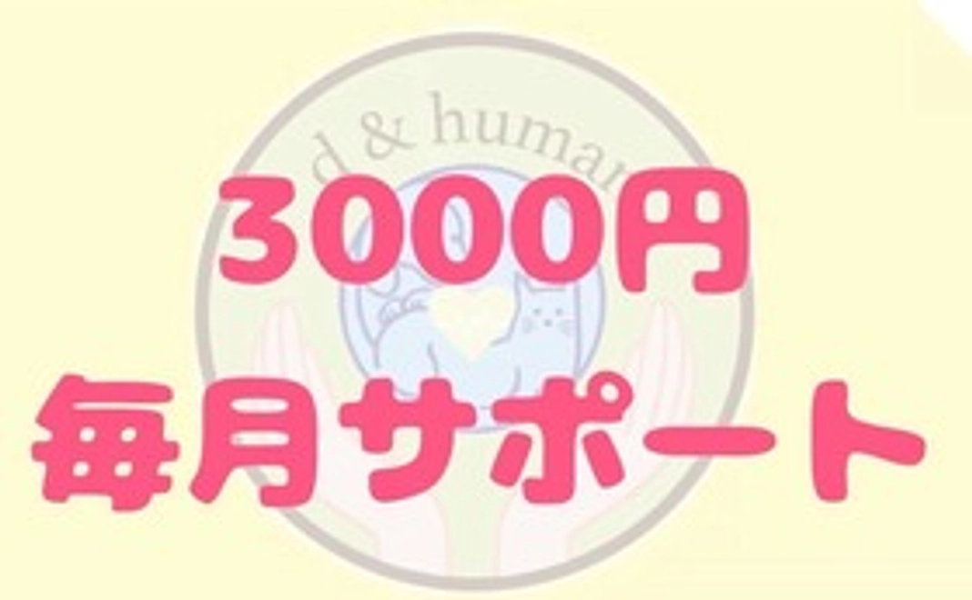 3,000円を毎月サポート