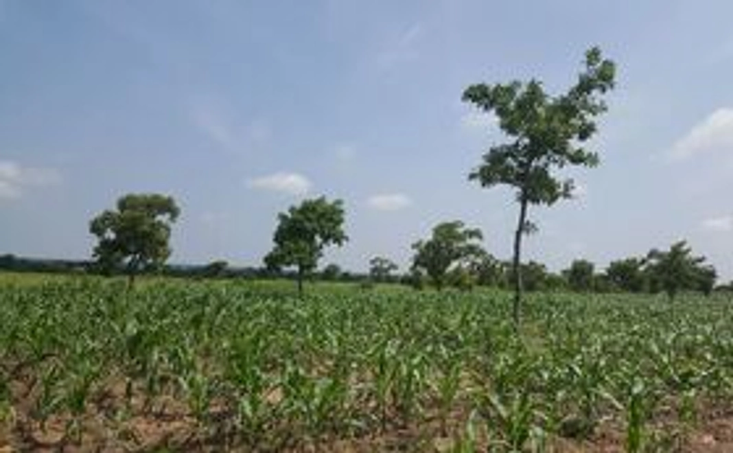 【10,000円】井戸建設報告書・サンクスレター