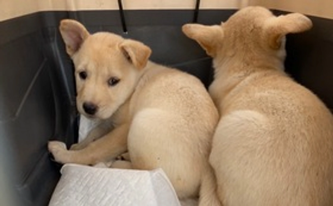 活動を応援5000円