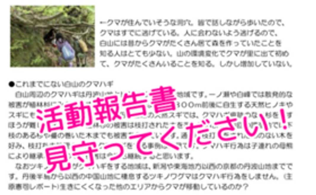 クマと山活動報告書