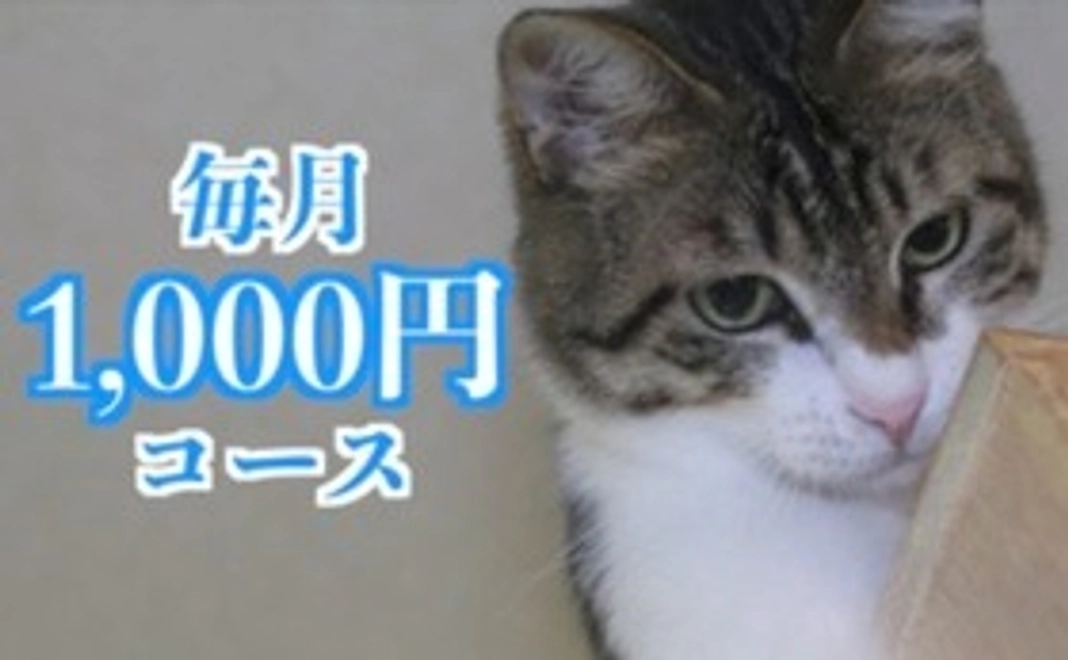 毎月応援1,000円コース