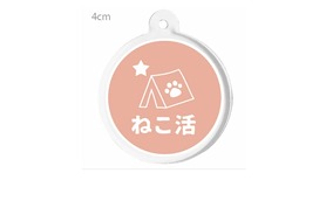 毎月2222円ご支援　シンデレラサポーター