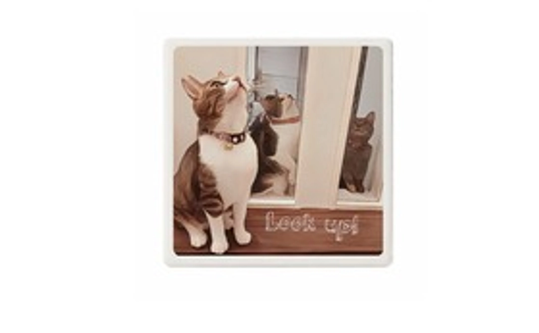 毎月8000円ご支援　シンデレラサポーター