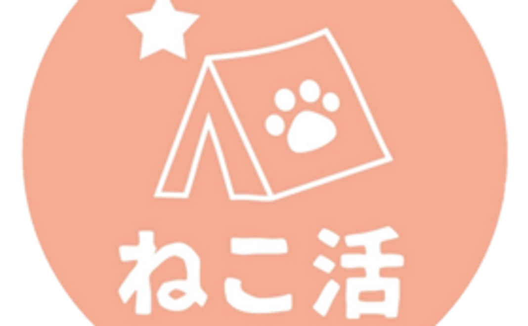 毎月22222円ご支援　シンデレラサポーター