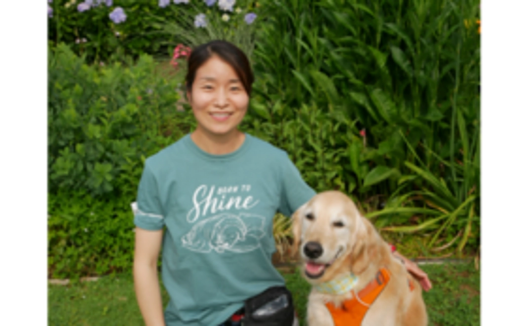 11月18日追加　コラボTシャツ・クリアファイル・ポストカードコース【税制優遇対象外】