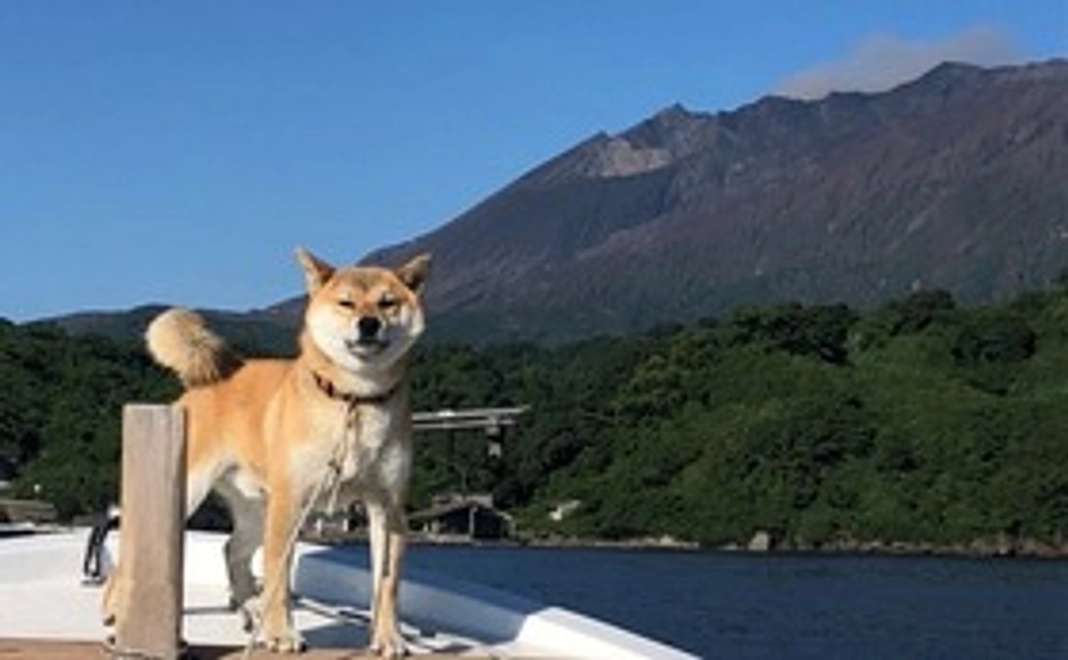 【お手軽】ワンコインで支援コース！