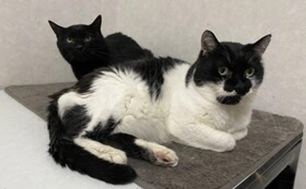 【お気持ち支援:リターン不要な方向け】5,000円応援コース