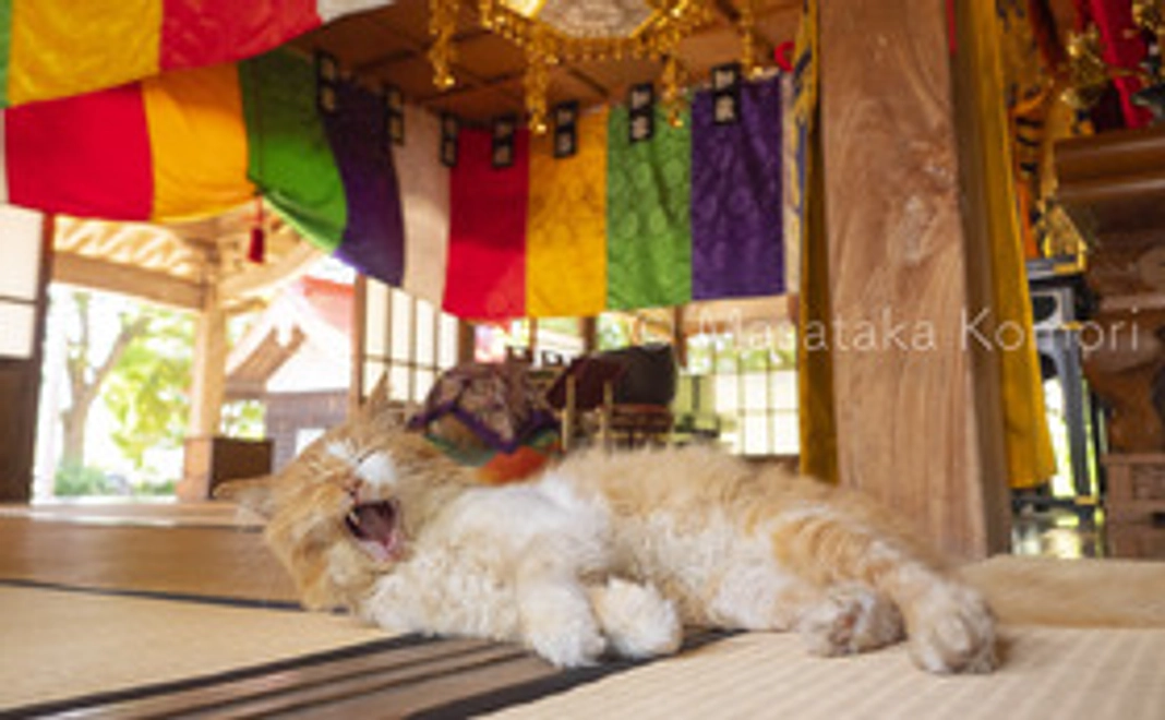 応援コース・感謝のメールと活動報告1