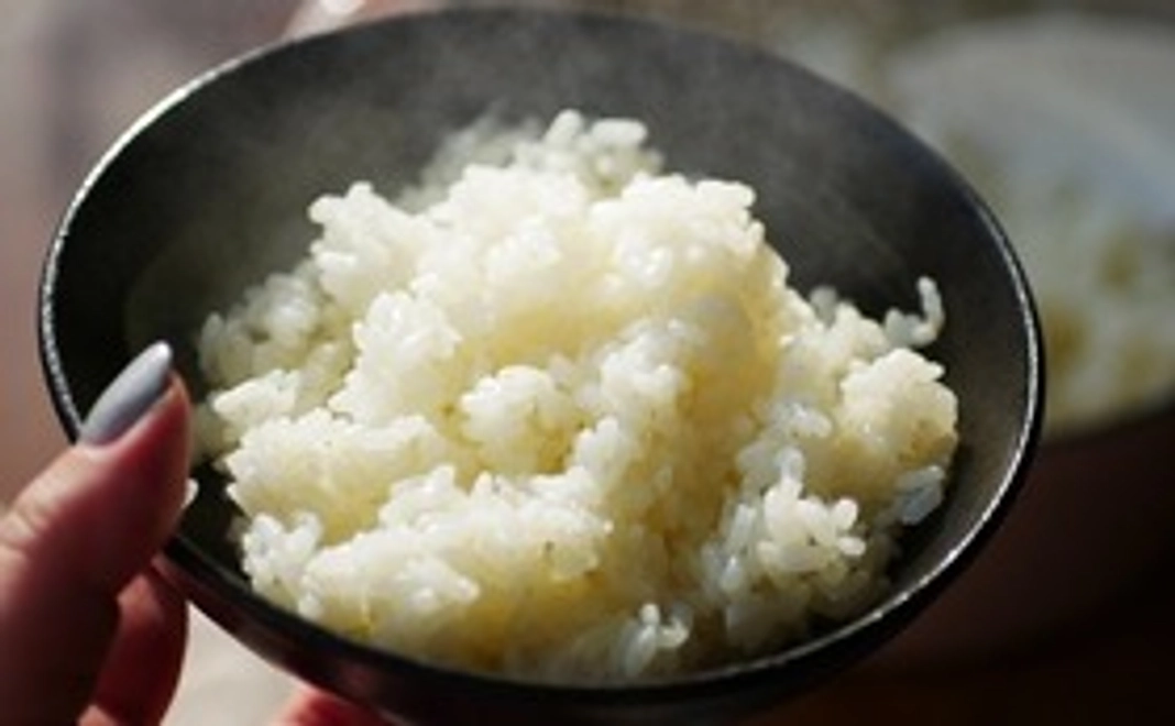 大分県宇佐市院内町産 新米コシヒカリ 10kg