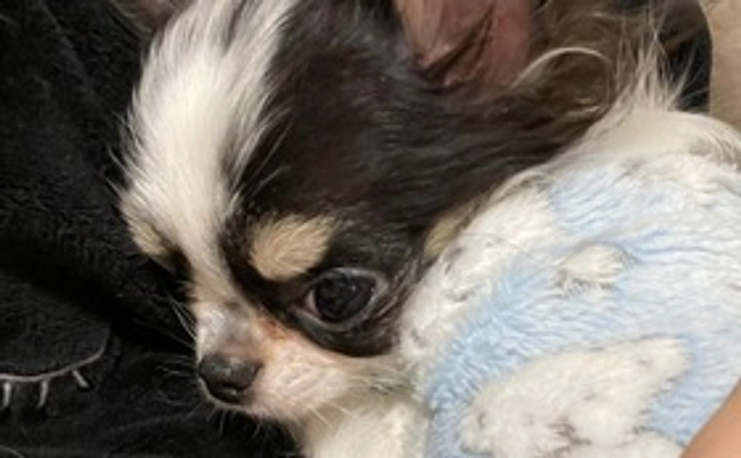 たぁ坊へのご支援1 リターン不要の方