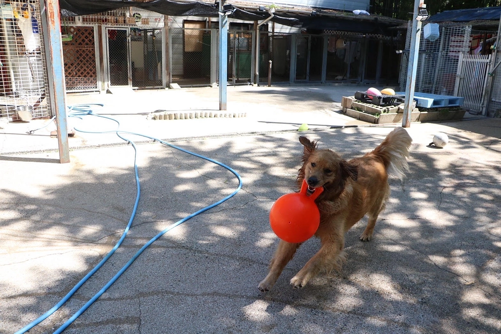 新天地の映像をお届けします〜part2〜