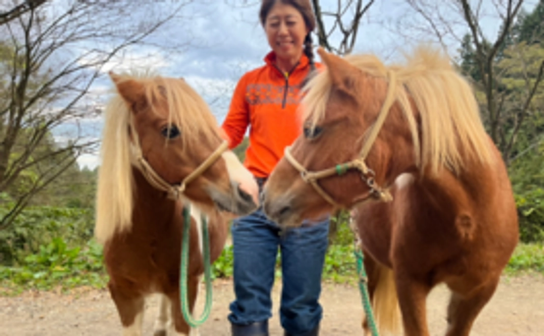 ホワイトストーンRCにて馬とのふれあい(写真撮影付)で応援!5,000円コース