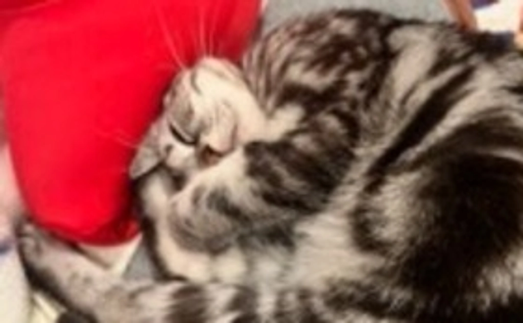 リッツお助け隊1000円(リターン不要)