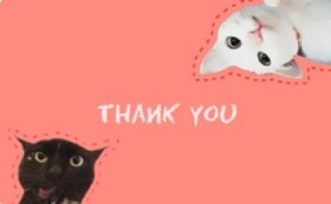 毎月1000円ご支援 シンデレラサポーター