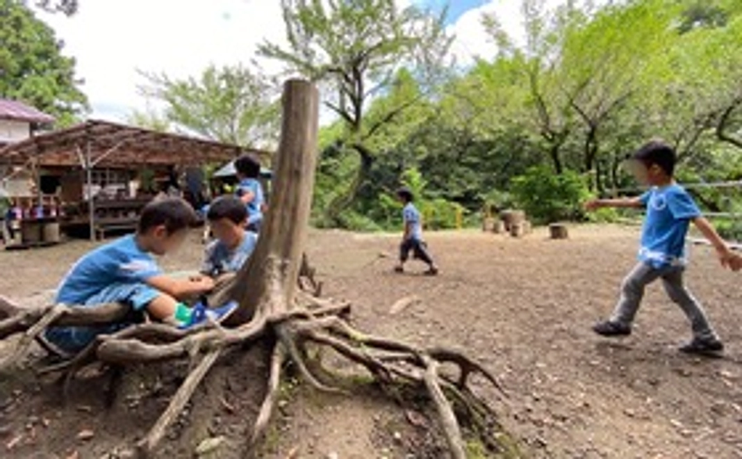 純粋応援｜5,000円コース