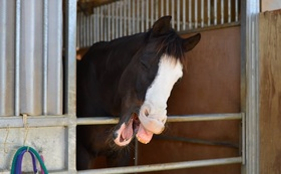 マンスリー支援/３，０００円