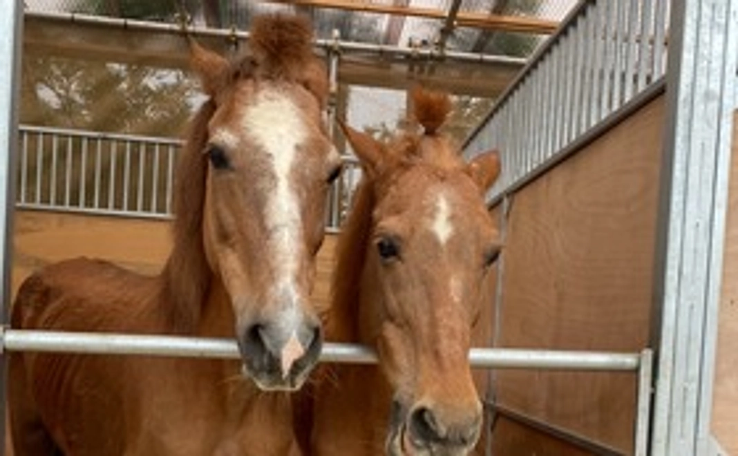 マンスリー支援/５，０００円