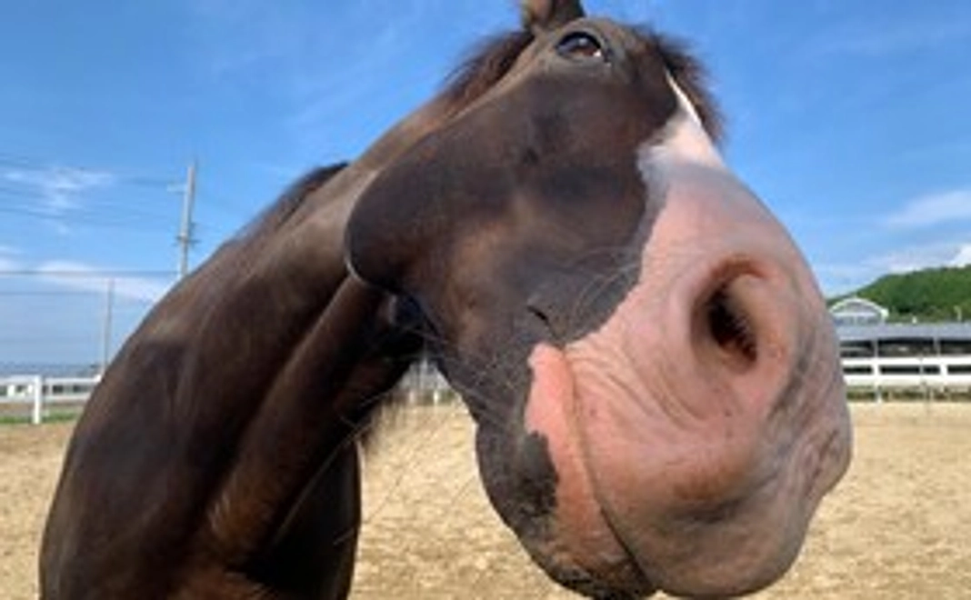 マンスリー支援/１０，０００円