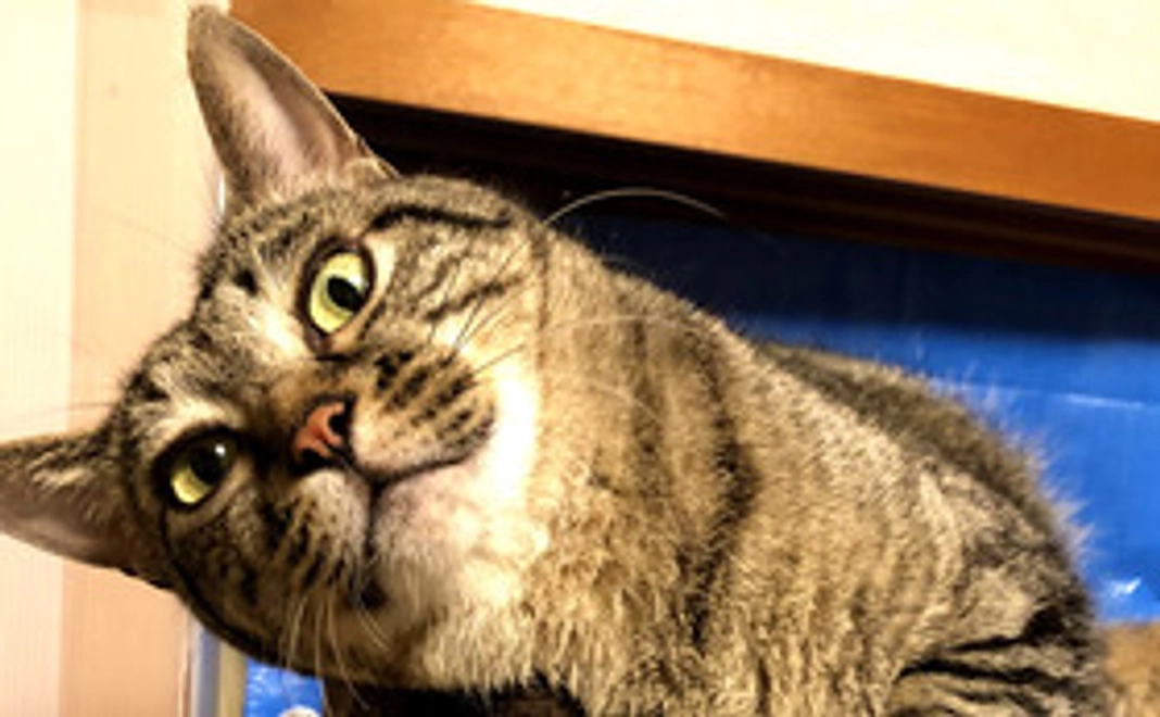 お礼と活動報告メール①