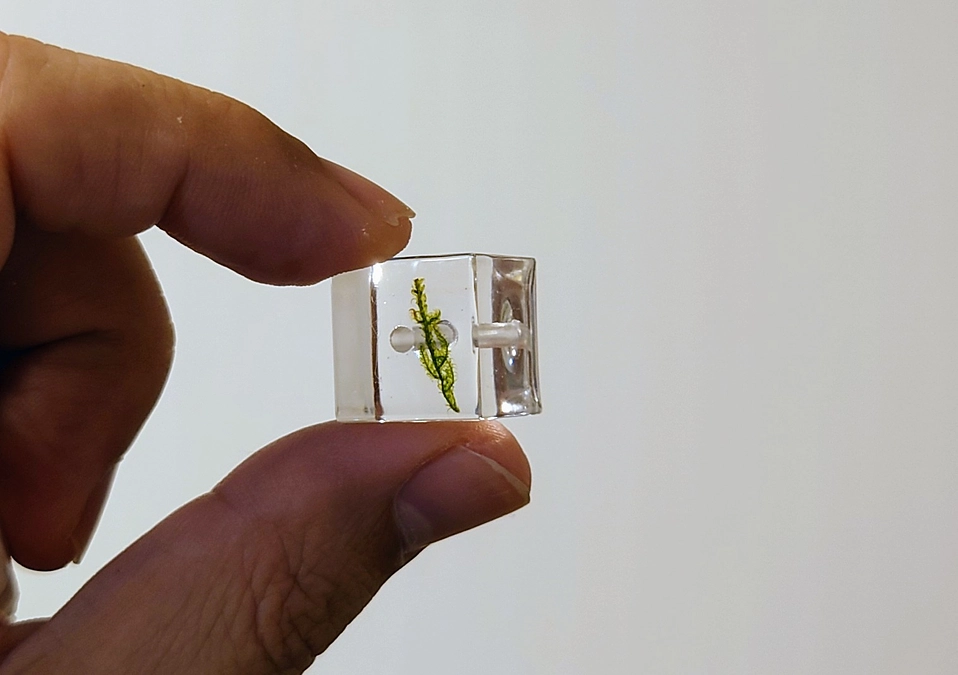 マネージャー森の宇宙コケの樹脂キーホルダー試作奮闘記#1