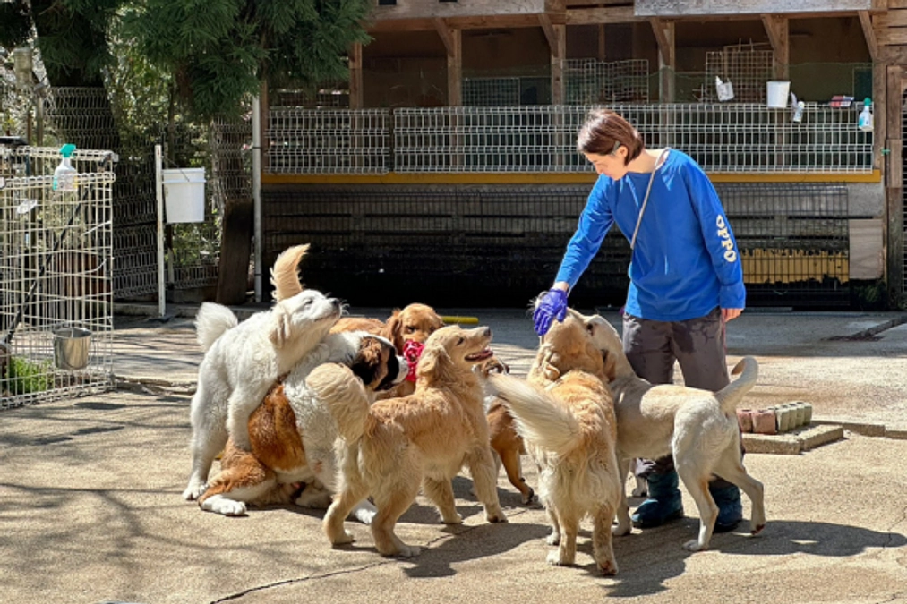 【あと5日！】動画でみるおっぽの会〜ボランティア春ちゃん編〜