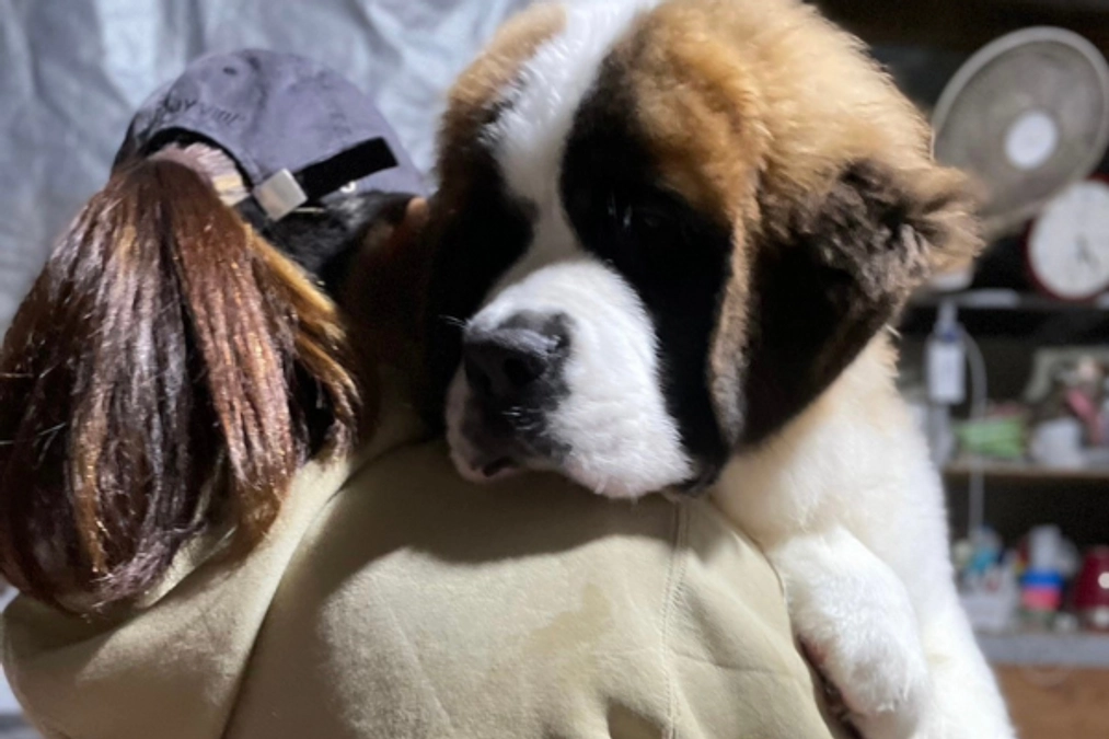 【あと1日！】動画でみるおっぽの会〜ボランティアまさこ編〜