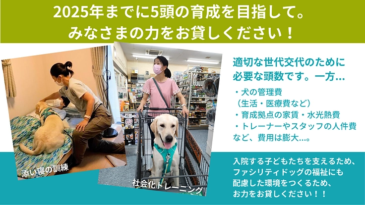入院する子どもたちの笑顔のために、ファシリティドッグを育成したい！ 5枚目