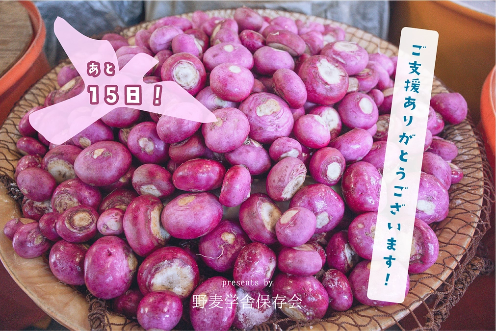 【返礼品の紹介】赤カブ漬け、絶賛発酵中！