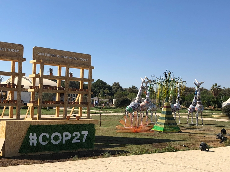 COP27報告～現地で見た気候変動適応策に関する議論や動向～