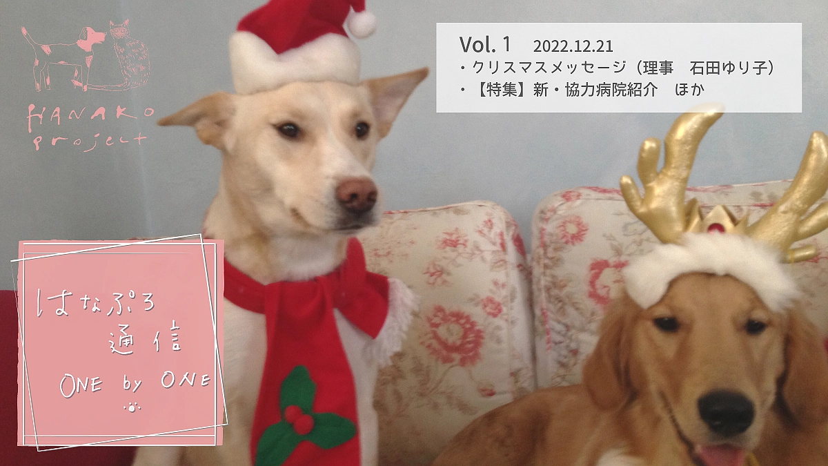 Merry Christmas！「ハナプロ通信onebyone」Vol.１スタートです