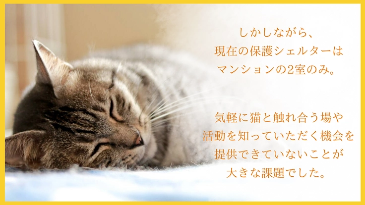 阿波の猫の殺処分ゼロを目指して。念願の開放型シェルター実現へ! 3枚目