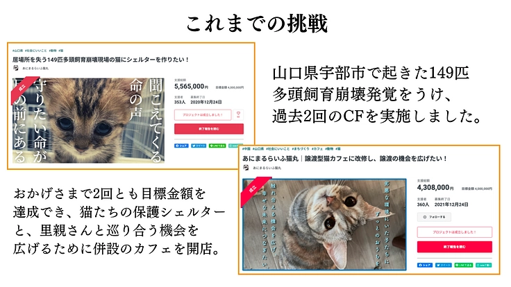 149匹保護から2年半。シェルター増築で、人馴れしない猫にも幸せを 2枚目