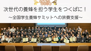 学生養蜂サミットに参加する学生の旅費を支援したい！ のトップ画像