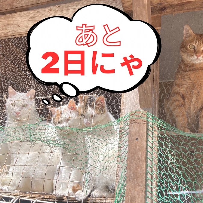 終了まで残り2日〜新天地でできること〜