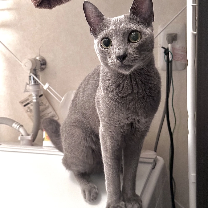 投薬33日目〜35日目